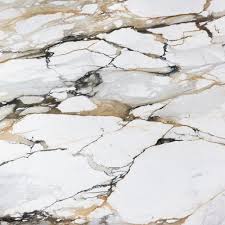 Calacatta Macchia Vecchia Marble